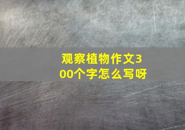 观察植物作文300个字怎么写呀