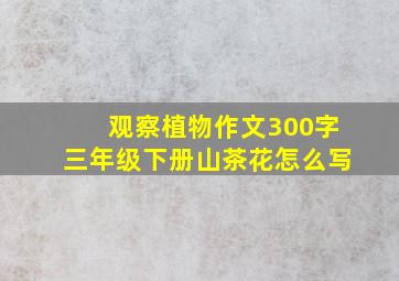 观察植物作文300字三年级下册山茶花怎么写