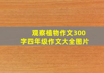 观察植物作文300字四年级作文大全图片