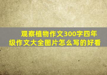 观察植物作文300字四年级作文大全图片怎么写的好看