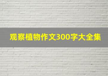 观察植物作文300字大全集