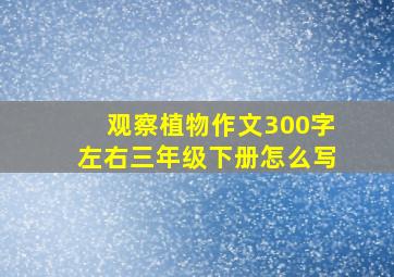 观察植物作文300字左右三年级下册怎么写