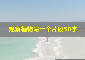 观察植物写一个片段50字