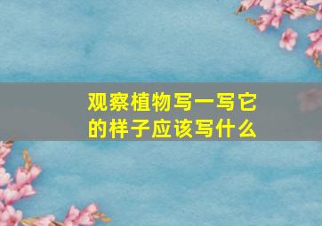 观察植物写一写它的样子应该写什么