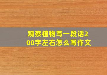 观察植物写一段话200字左右怎么写作文