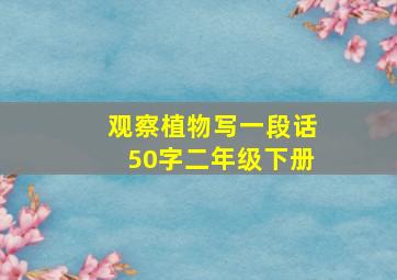 观察植物写一段话50字二年级下册