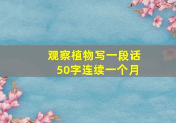 观察植物写一段话50字连续一个月