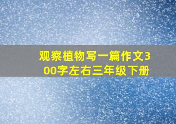 观察植物写一篇作文300字左右三年级下册