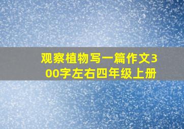 观察植物写一篇作文300字左右四年级上册