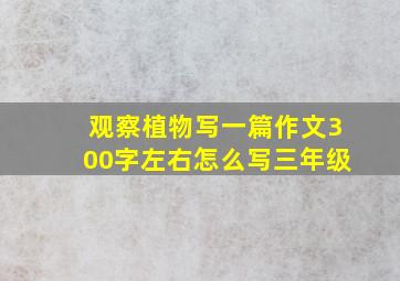 观察植物写一篇作文300字左右怎么写三年级