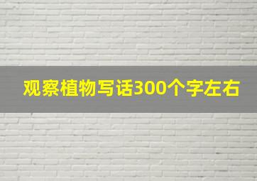 观察植物写话300个字左右