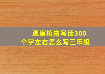 观察植物写话300个字左右怎么写三年级