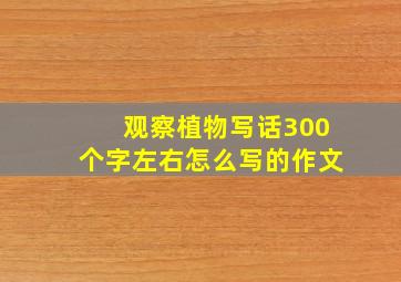 观察植物写话300个字左右怎么写的作文