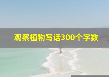 观察植物写话300个字数