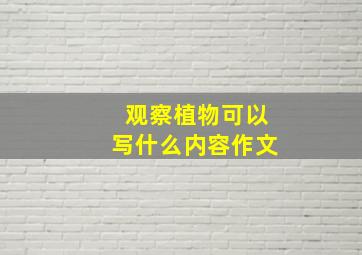 观察植物可以写什么内容作文