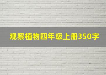 观察植物四年级上册350字