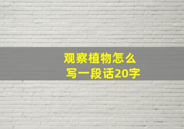 观察植物怎么写一段话20字