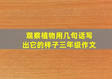 观察植物用几句话写出它的样子三年级作文