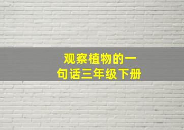 观察植物的一句话三年级下册