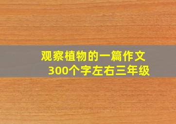 观察植物的一篇作文300个字左右三年级