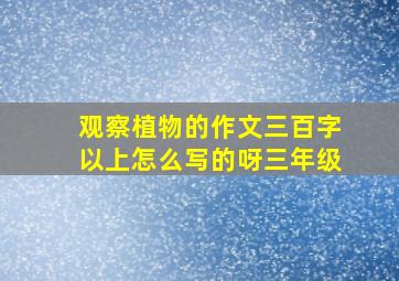 观察植物的作文三百字以上怎么写的呀三年级