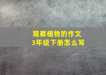 观察植物的作文3年级下册怎么写