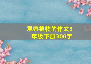 观察植物的作文3年级下册300字