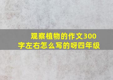 观察植物的作文300字左右怎么写的呀四年级