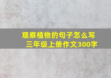 观察植物的句子怎么写三年级上册作文300字