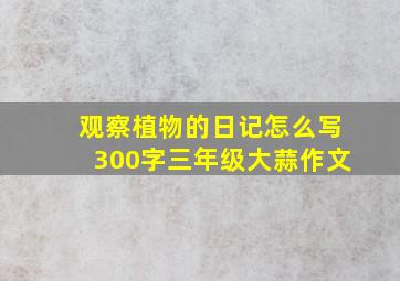 观察植物的日记怎么写300字三年级大蒜作文