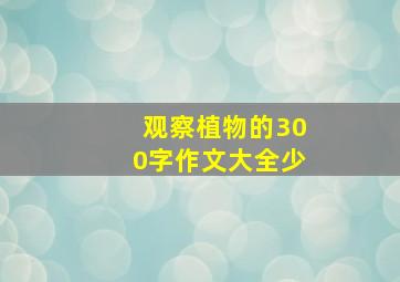 观察植物的300字作文大全少