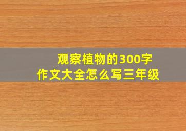 观察植物的300字作文大全怎么写三年级