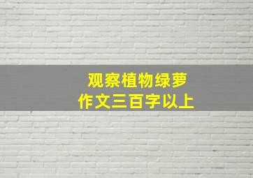 观察植物绿萝作文三百字以上