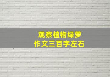 观察植物绿萝作文三百字左右