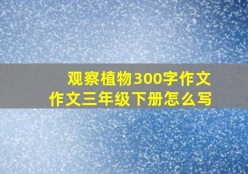 观察植物300字作文作文三年级下册怎么写