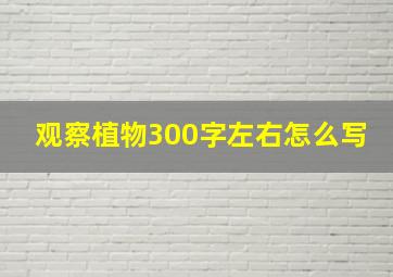 观察植物300字左右怎么写