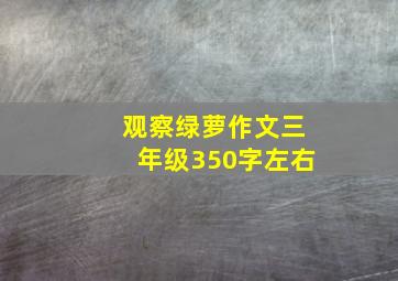 观察绿萝作文三年级350字左右