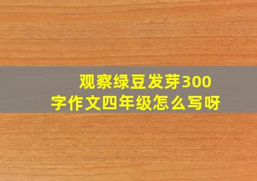 观察绿豆发芽300字作文四年级怎么写呀