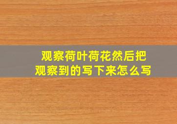 观察荷叶荷花然后把观察到的写下来怎么写