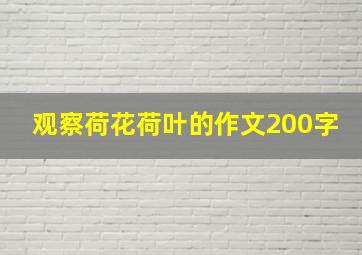 观察荷花荷叶的作文200字