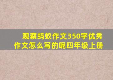 观察蚂蚁作文350字优秀作文怎么写的呢四年级上册