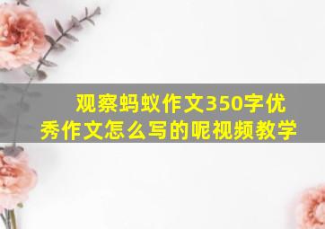 观察蚂蚁作文350字优秀作文怎么写的呢视频教学