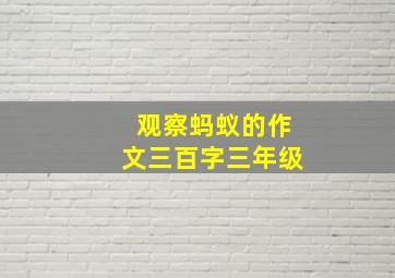 观察蚂蚁的作文三百字三年级