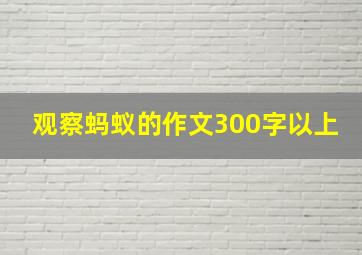 观察蚂蚁的作文300字以上