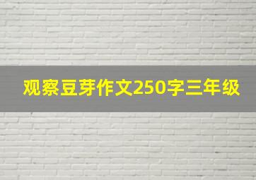 观察豆芽作文250字三年级