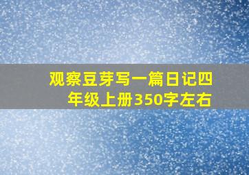 观察豆芽写一篇日记四年级上册350字左右