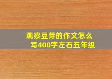 观察豆芽的作文怎么写400字左右五年级