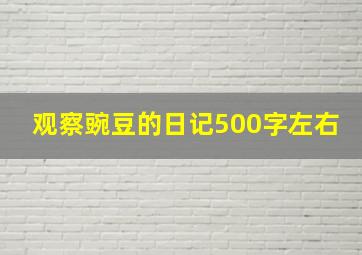 观察豌豆的日记500字左右