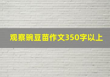 观察豌豆苗作文350字以上