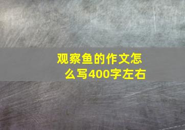 观察鱼的作文怎么写400字左右